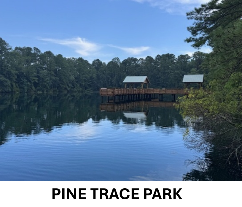 Pine Trace